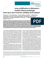 Faulty Autolysosome Acidification in Alzheimer's Disease Mouse Models Induces Autophagic Build-Up of Abeta in Neurons