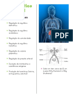 Diagnóstico Renal