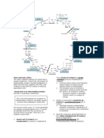 Kreb's Cycle Trans