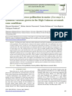 Evaluation of The Cross-Pollination in Maize (Zea Mays L.) Synthetic Varieties Grown in The High Guinean Savannah Zone Conditions