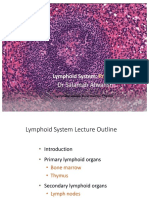 DR Salamah Alwahsh: Lymphoid System