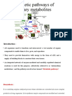 Biosynthetic Pathways of Secondary Metabolites