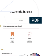 Endo 1 Anatomia Interna