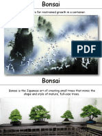 Bonsai