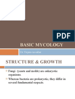 Basic Mycology