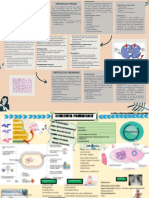 Flash Card de Microbiología