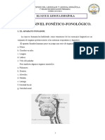 Tema 1. NIVEL FONÃ TICO-FONOLÃ GICO