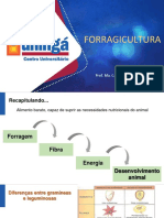 Forragicultura Slides