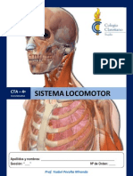 Sistema Locomotor para Cuarto