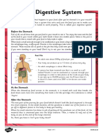 Year 4 Reading Your Digestive System