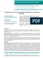 Literature Review of Cardiovascular Pathology in Coronavirus Infection