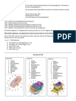 Grade 12-General Biology (Cells)