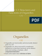 Chapter 1.3 Structures and Functions of Organelles