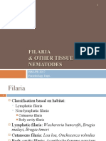 Filaria N Tissue Nematode