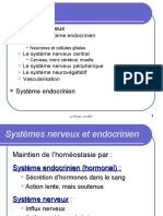 Systeme Nerveux