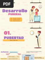 Desarrollo Puberal