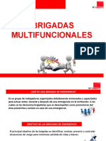 Capacitacion de Brigadas