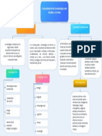 Esquema Conceptual Antropologia