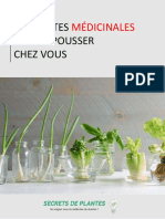 11 Plantes Mdicinales Faire Pousser Chez Vous