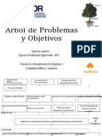 Ejemplo de Arbol de Problemas y Objetivos