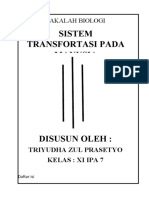 Sistem Transfortasi Pada Manusia: Makalah Biologi