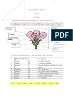 Solved Collected Worksheets Science 5