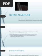 Hueso Alveolar