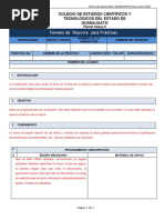 Formato-Reporte de Prácticas-123