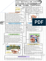 Infografía Tunel Carpiano