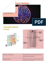 Bio Psychology