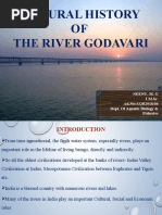 The River Godavari