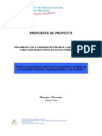 NI 6.13 Documento de Proyecto