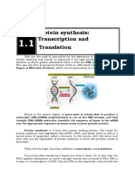 Lesson 5 Protein Synthesis