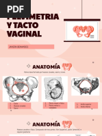 Pelvimetria y Tacto Vaginal