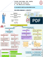 Relación Ventilación Perfusión