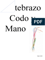 5 - Antebrazo, Codo, Mano