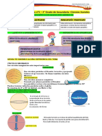 Ficha de Trabajo N°5 - 2° Grado de Secundaria - Ciencias Sociales