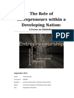 The Role of Entrepreneurs Within A Devel