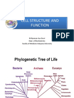 Cell Structure and Function