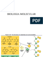 Genetica 1 Bases Moleculares