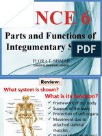 Integumentary System-GRADE 6 MARCOS