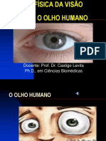 Aula 4 - Olho Humano