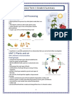 Summary Nstec GR 6 T1 Content