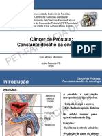 Cancer de Prostata Seminario