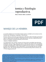 Anatomia y Fisiología Reproductiva