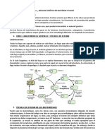 Tema 1 - Analisis Genetico en Bacterias y Fagos