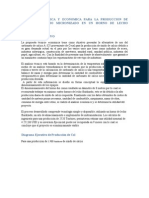 Propuesta Tecnica y Economica Del Proecto de Produccion de Cal A Partir de Carbonato de Calcio A