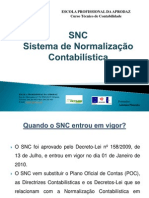 Trabalho de Grupo Sobre SNC