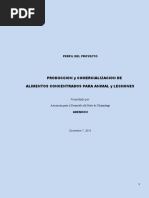 PROYECTO PRODUCCION Y COMERCIALIZACION ALIMENTOS CONCENTRADOS Y LECHONES 7 Dic 15