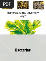 Clase 5. Bacterias, Algas, Hongos y Líquenes